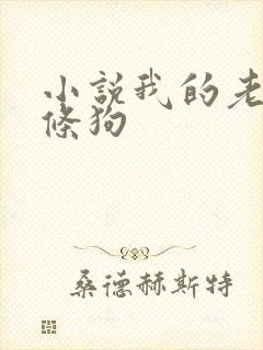 小说我的老公是条狗