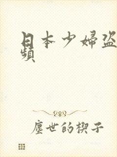 日本少妇盗凑视频