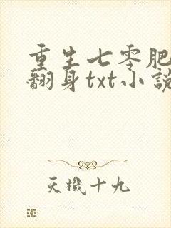 重生七零肥妻要翻身txt小说