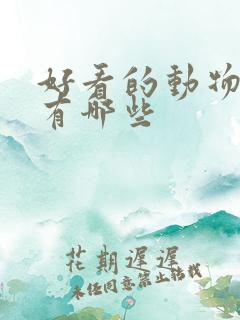 好看的动物小说有哪些