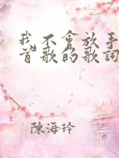 我不会放手是哪首歌的歌词