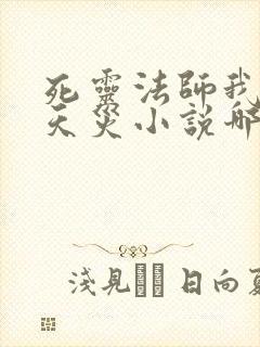 死灵法师我即是天灾小说哪里看