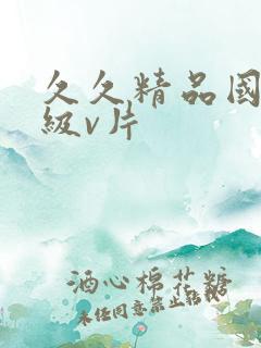 久久精品国产一级v片