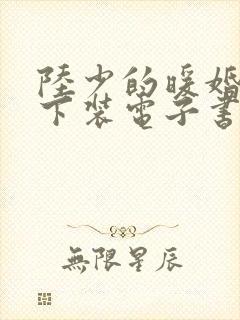 陆少的暖婚新妻下装电子书