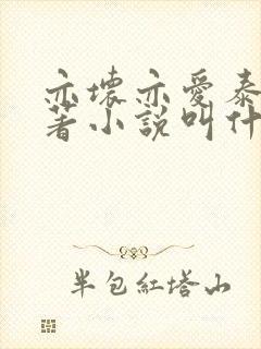 亦坏亦爱泰剧原著小说叫什么