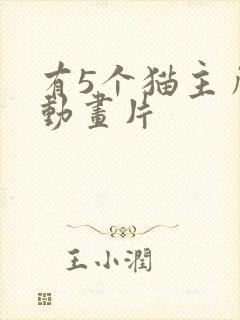 有5个猫主角的动画片