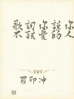 歌词你说你爱了不该爱的人是什么歌