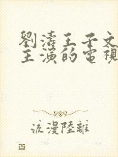 刘涛王子文蒋欣主演的电视剧叫什么名字