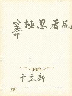 究极忍者风暴革命