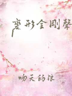 变形金刚声波g1