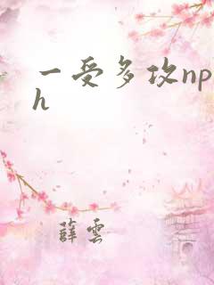 一受多攻np高h