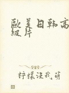 欧美日韩高清一级片