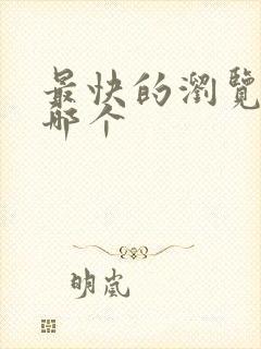 最快的浏览器是哪个