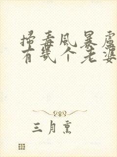 扫毒风暴卢少骅有几个老婆