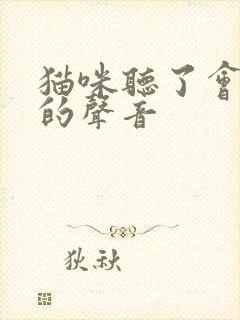 猫咪听了会过来的声音