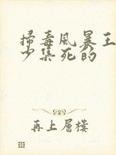 扫毒风暴王林多少集死的