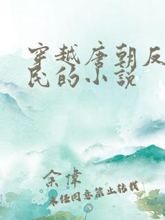 穿越唐朝反李世民的小说