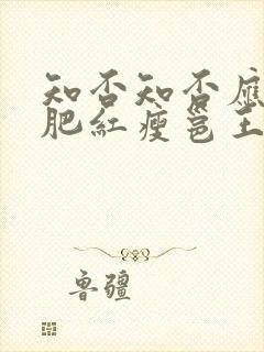 知否知否应是绿肥红瘦邕王