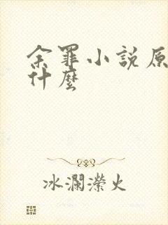 余罪小说原著叫什么