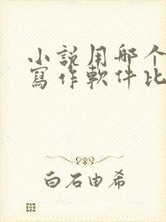 小说用哪个ai写作软件比较好