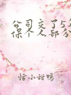 公司交了5年社保个人部分可以退吗