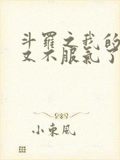 斗罗之我的系统又不服气了 全文阅读