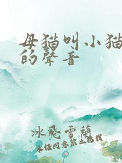 母猫叫小猫回家的声音
