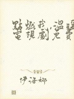 点燃我,温暖你电视剧免费完整版