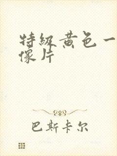 特级黄色一级录像片