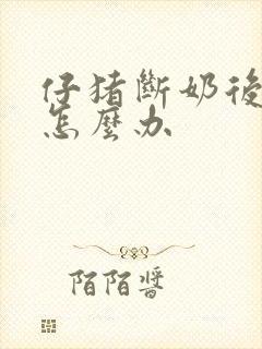 仔猪断奶后拉稀怎么办