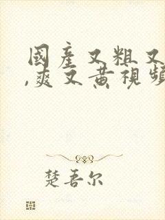 国产又粗又猛又,爽又黄视频