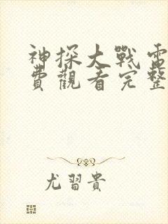 神探大战电影免费观看完整版国语