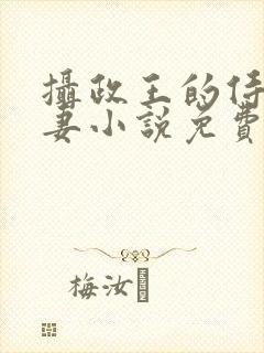 摄政王的侍爱逃妻小说免费阅读