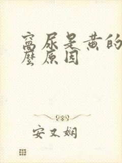 窝尿是黄的是什么原因