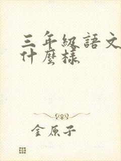 三年级语文本子什么样