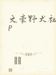 文豪野犬社乱cp