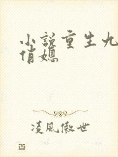 小说重生九零小俏媳