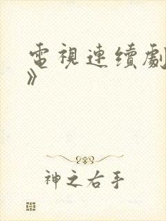 电视连续剧《追》