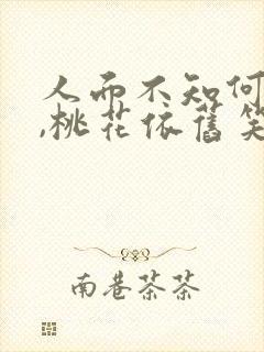 人面不知何处在,桃花依旧笑春风