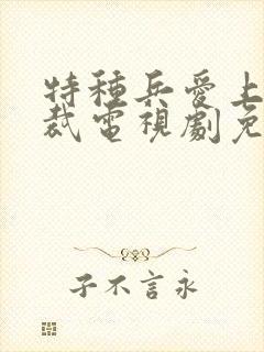 特种兵爱上女总裁电视剧免费观看