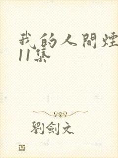 我的人间烟火第11集