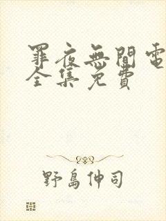 罪夜无间电视剧全集免费