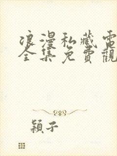 浪漫私藏电视剧全集免费观看