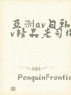 亚洲av日韩av精品老司机