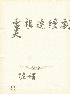 电视连续剧小丈夫