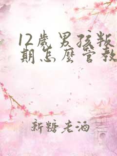 12岁男孩叛逆期怎么管教机构