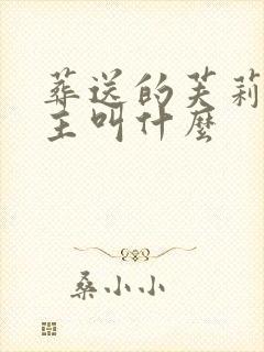 葬送的芙莉莲男主叫什么