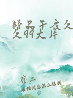 精品午夜久久久久99大片