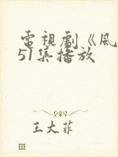 电视剧《风筝》51集播放