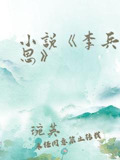 小说《李兵与沈思》